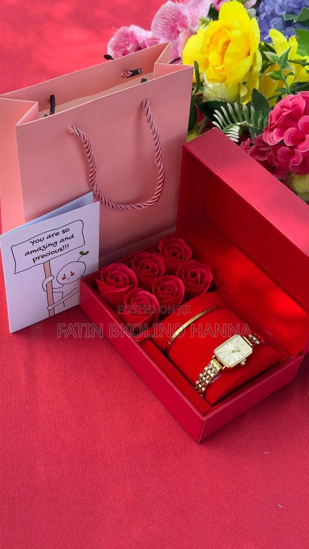 Women Daniel Wellington Watch Set