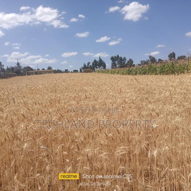 5acres Essaco Kieni Nyeri County. - thumbnail 2