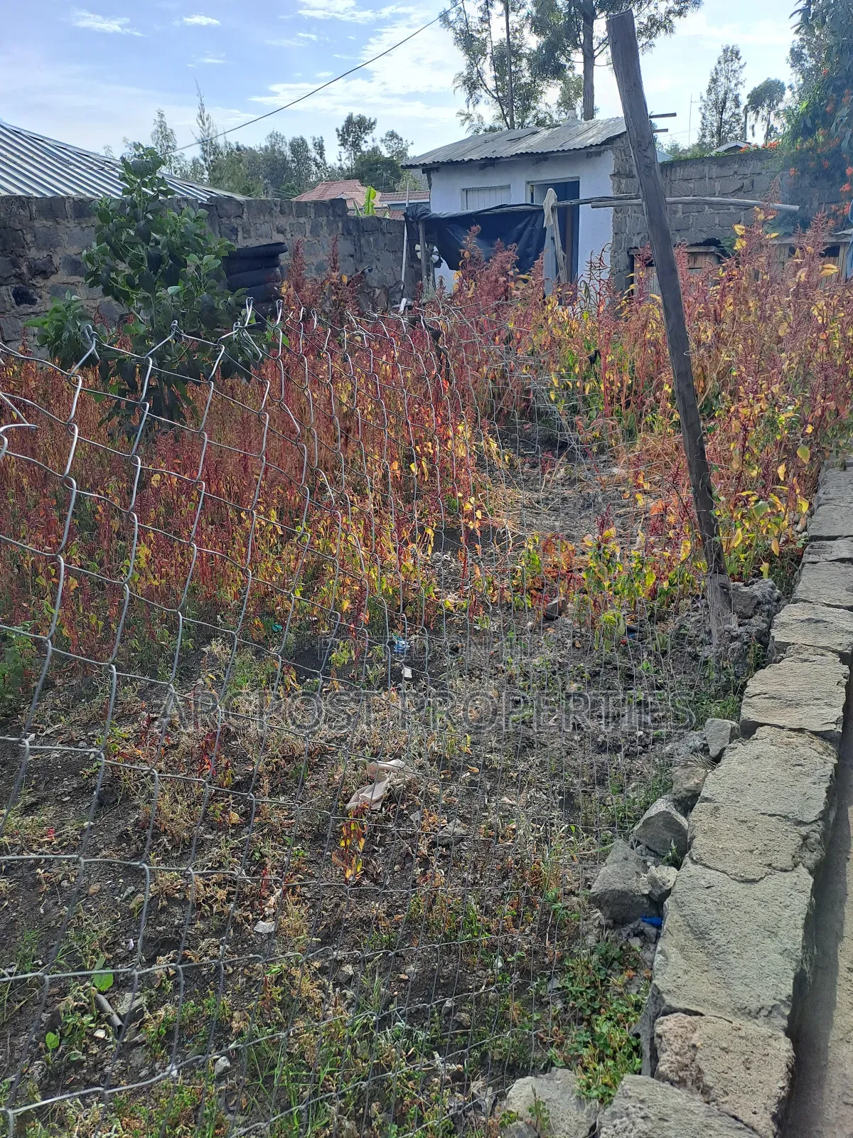 3bdrm Bungalow in Rimpa for sale
