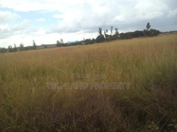 4acres County Kieni Nyeri.