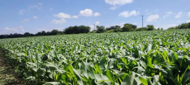 4acres County Kieni Nyeri. - thumbnail 2