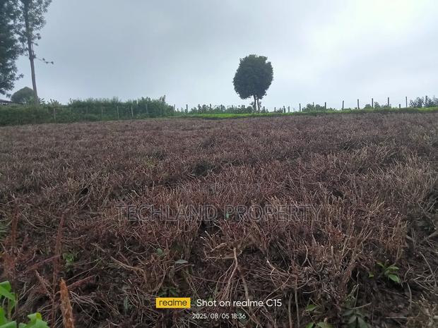 10acre Tea Farm Othaya Nyeri