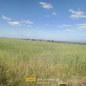 4acres Lusoi Kieni East Nyeri.