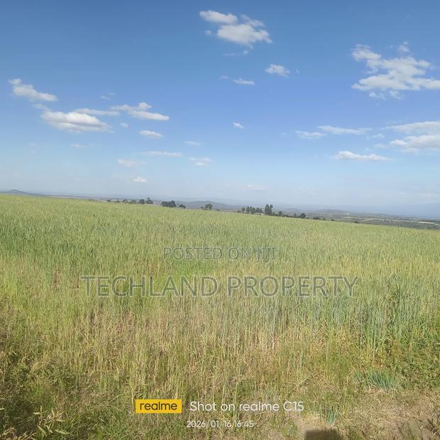 4acres Lusoi Kieni East Nyeri.