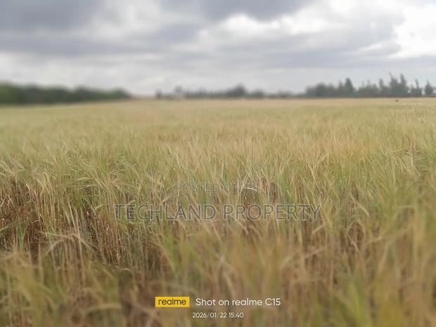 4acres Lusoi Kieni East Nyeri. - thumbnail 2