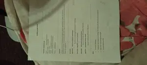 Transcription, Academic Writing and Data Entry