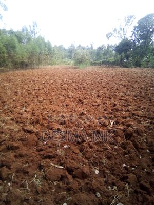 1 Acre Land for Sale - thumbnail 2