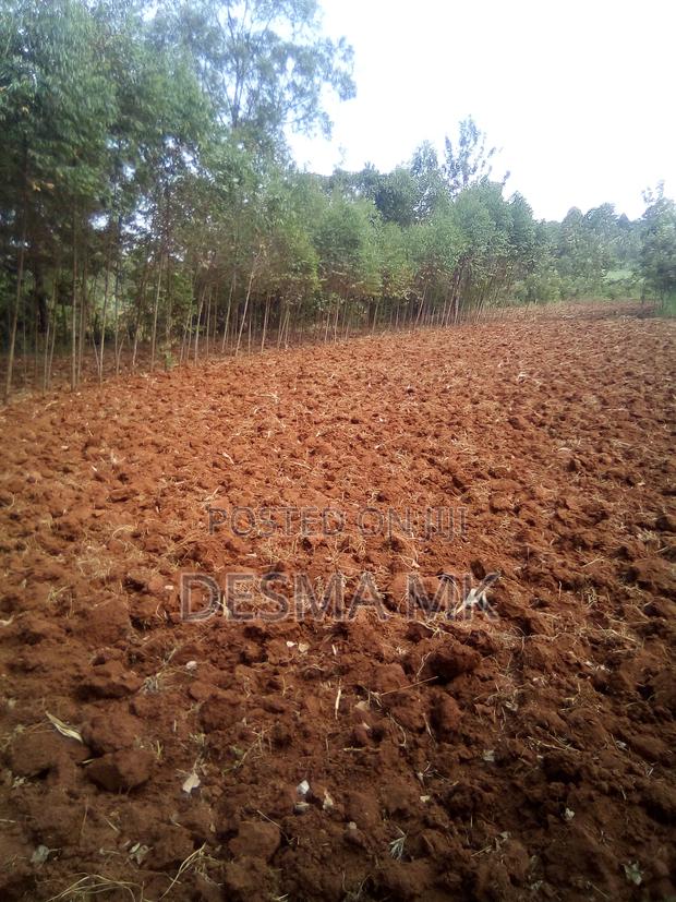 1 Acre Land for Sale - thumbnail 3