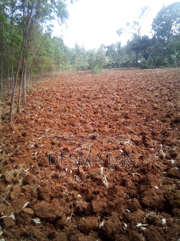 1 Acre Land for Sale - thumbnail 4