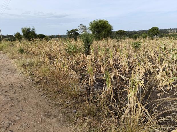 Prime Plots in Kabati, Murang'A - thumbnail 5