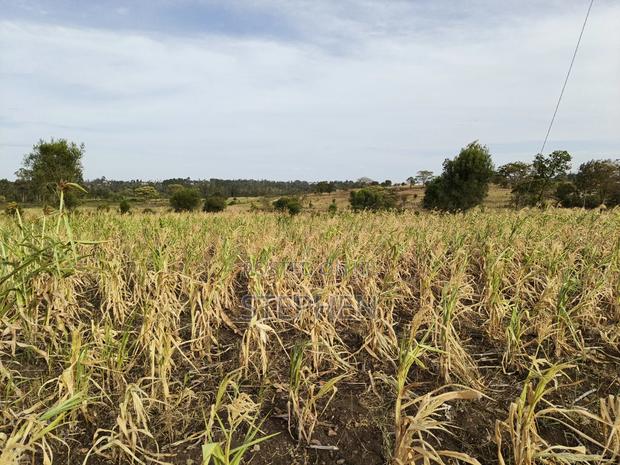 Prime Plots in Kabati, Murang'A - thumbnail 7