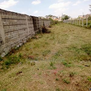 Prime 1/2 Acre Juja Town 30m - thumbnail 2