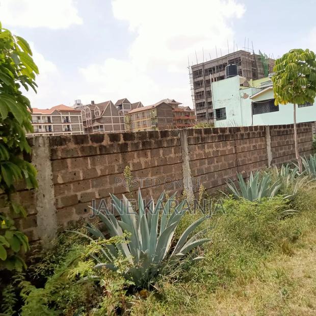 Prime 1/2 Acre Juja Town 30m - thumbnail 5