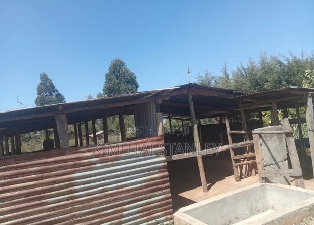 Residential Cum Commercial - thumbnail 5