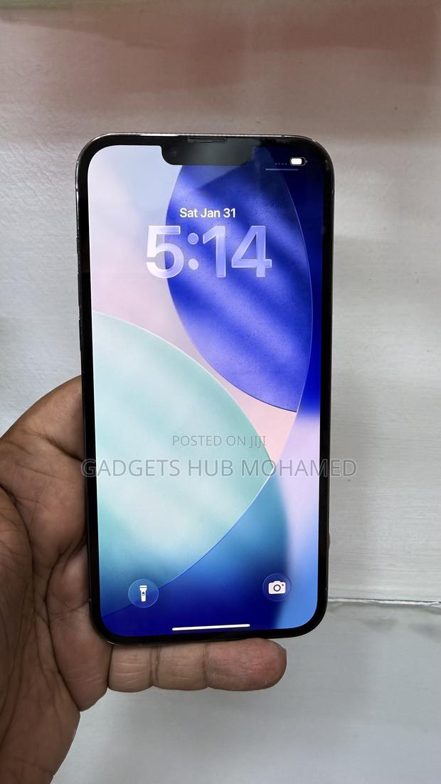 Apple iPhone 13 Pro Max 256 GB Blue - thumbnail 4