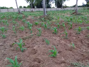 For Sale 1 Acre Less 1/8 in Kikambala