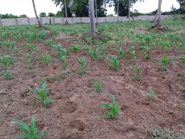 For Sale 1 Acre Less 1/8 in Kikambala