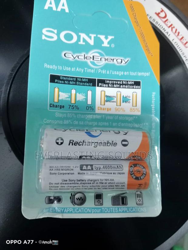 Sony Cycle Energy Recharge Batteries