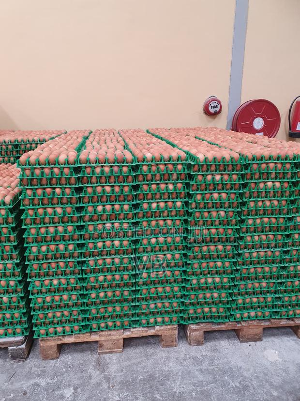 Wholesale Chicken Eggs for Sale! - main view