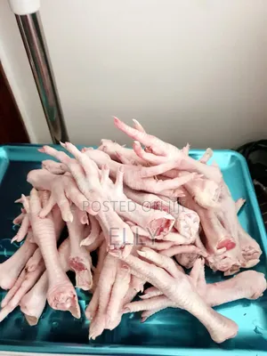 All Pet Foods