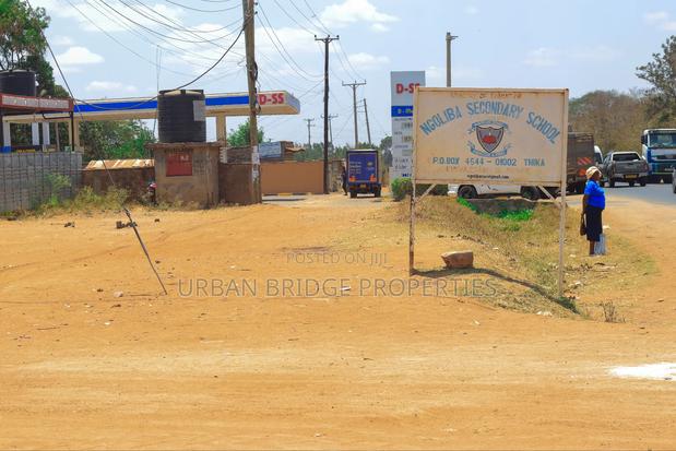 Prime Plots - Ngoliba 50x100