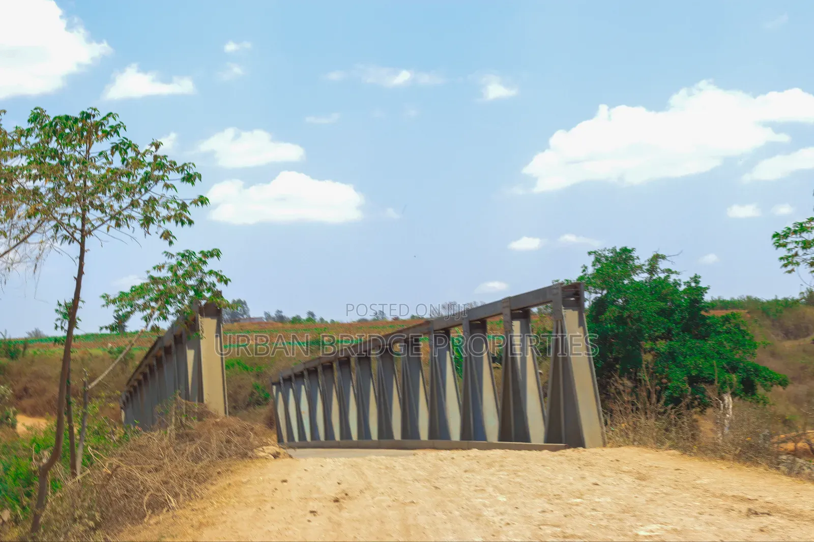 Prime Plots - Ngoliba 50x100