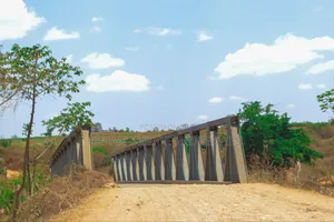 Prime Plots - Ngoliba 50x100