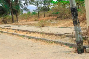 Prime Plots - Ngoliba 50x100