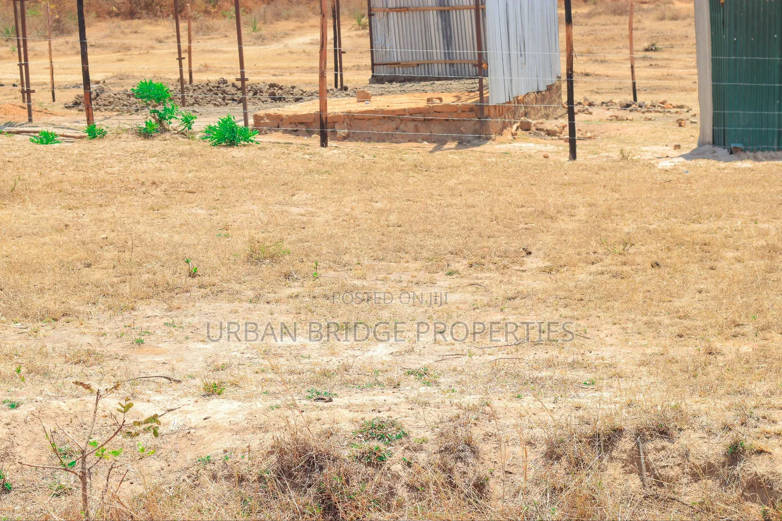 Prime Plots - Ngoliba 50x100
