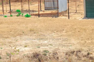 Prime Plots - Ngoliba 50x100