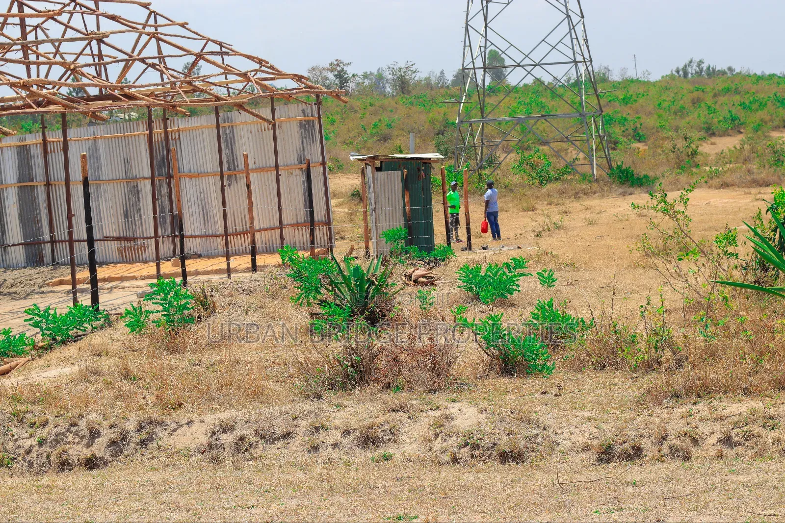 Prime Plots - Ngoliba 50x100