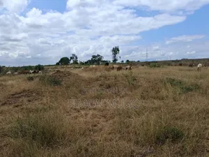 Juja Township Prime Commercial 5 Acre Ideal for Godown