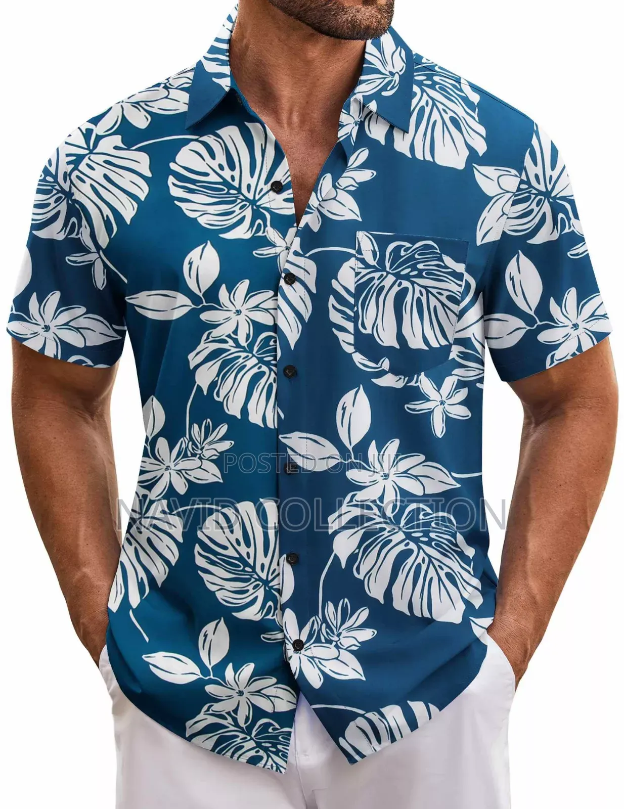 Short Sleeved Shirts