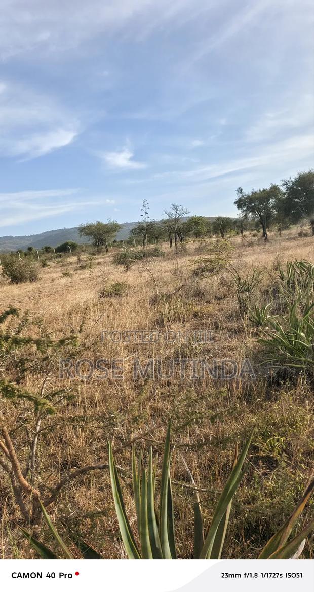 3acres at Kenol - main view