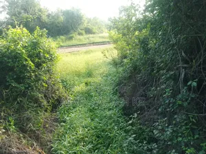 150 Acres With Tittle Deed for Sale in Sosoni, Marafa Kilifi County