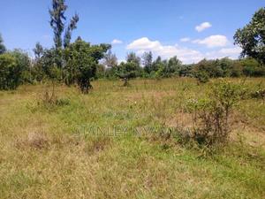 One Acre Nanyuki Mwereri - thumbnail 2