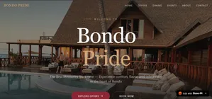Website Desigh