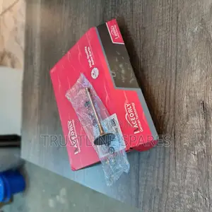 Raceorly Inlet Valves for Vw Audi Engines