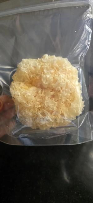 Snow Fungus / Tremella Fuciformis - main view