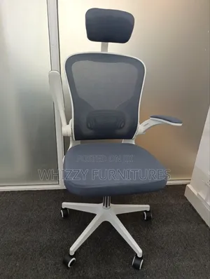 Adjastable Ergonomic Chair