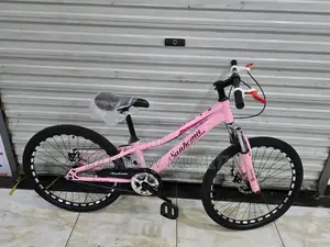 Pink Lady Bike Size 24