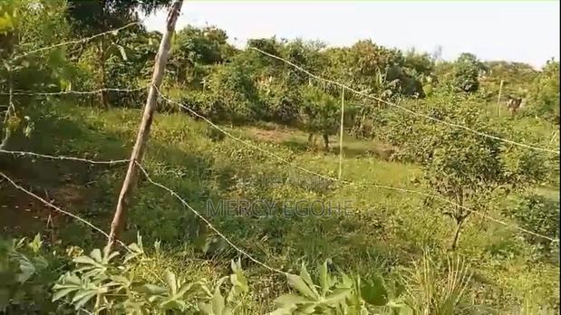 Plot For Sale - thumbnail 5