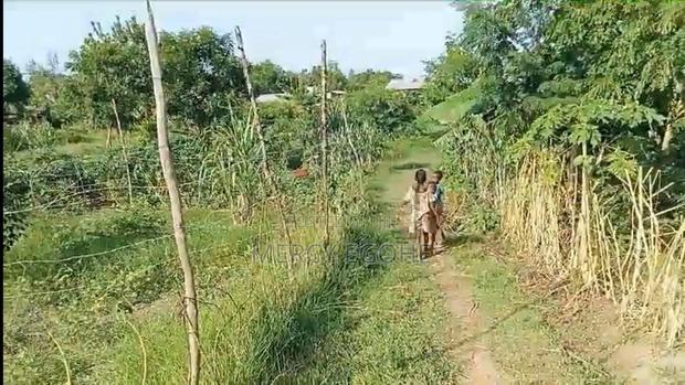 Plot For Sale - thumbnail 6