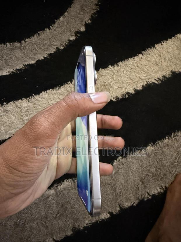 Apple iPhone 15 Pro Max 256 GB Silver - thumbnail 3