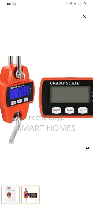 300kg Crane Scale - main view