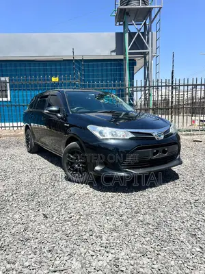 Toyota Corolla Fielder 2018 Black