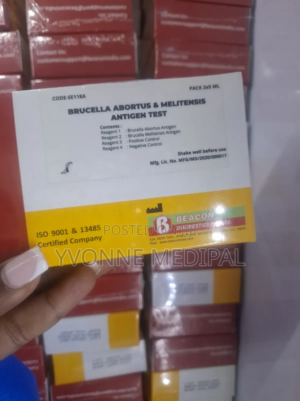 Brucella Abbortus and Mellitensis