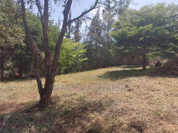 Land for Sale - thumbnail 2