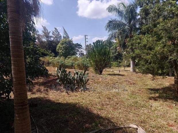 Land for Sale - thumbnail 3