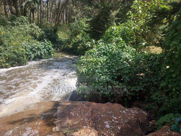 Land for Sale - thumbnail 4